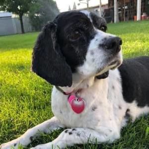 Meet your Posher, Nicky